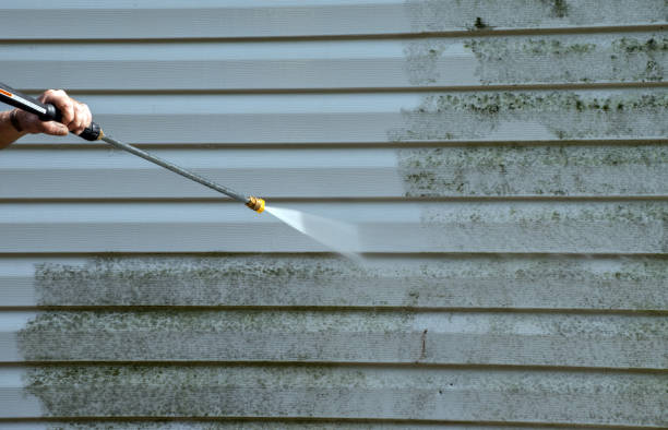 Best Roof Power Washing Services  in Mertzon, TX