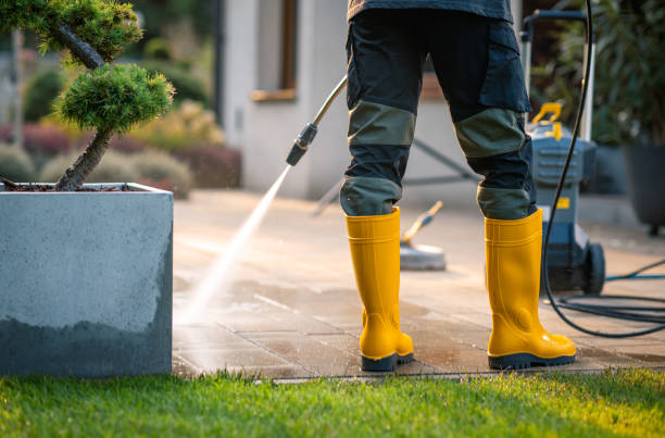 Best Pressure Washing Estimates  in Mertzon, TX